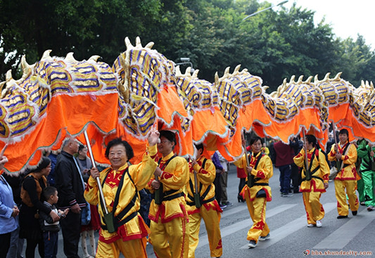 2017年容桂龍獅獻瑞賀新春巡游活動花絮