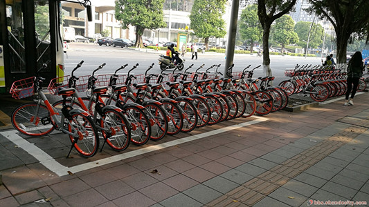 容桂新鮮事，終于見到公共自行車啦