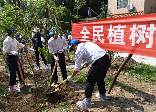 大良：組織130多人植樹，又添一份綠！
