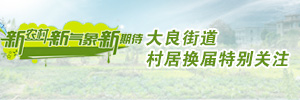 新農村，新氣象，新期待，大良村居換屆