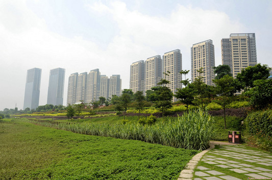 佛山新城濱河景觀帶（順德城市網(wǎng)網(wǎng)友“44168”攝）