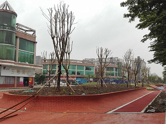 期待嗎？勒流這個街心小公園風(fēng)景獨好