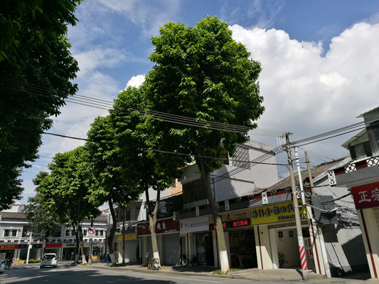 環(huán)城路“化妝”后，美呆了附近的街坊