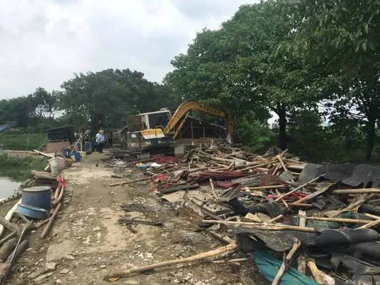 龍江：一口氣拆了8間違建養(yǎng)豬棚