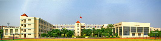 順德龍江城區中心小學　