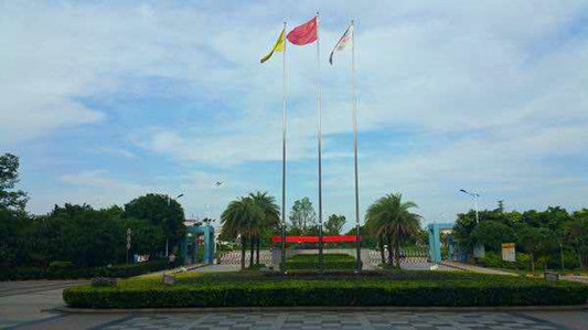 順德杏壇桑麻小學