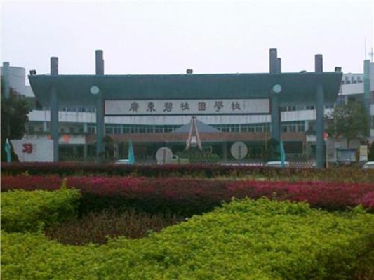 順德北滘廣東碧桂園學校