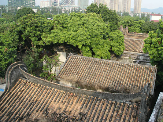 右眼新聞：桃源深處有桃村