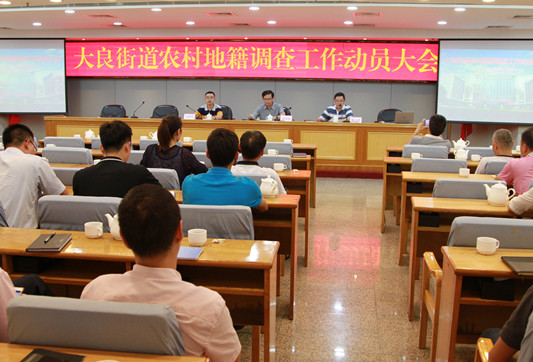 大良：農(nóng)村地籍調(diào)查開啟，年內(nèi)完成兩村居