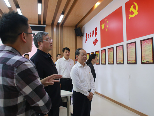 魯毅：落實十九大精神，要學懂弄通做實