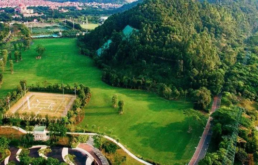 注意！順峰山公園四季大草坪不能放風箏