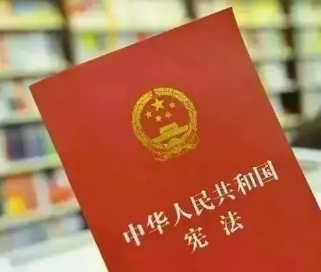 憲法制定背后，來聽這些教授的故事！