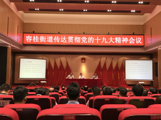 容桂：以黨的十九大精神作為指導發展綱領