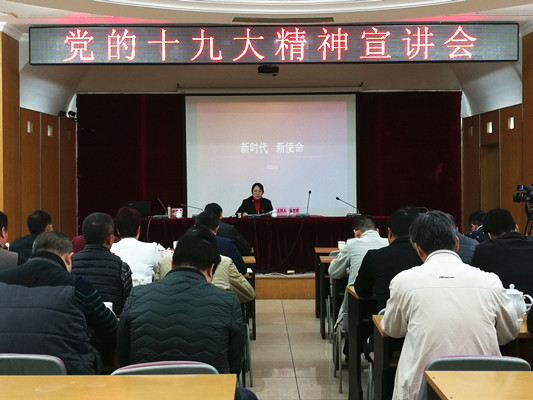 學習十九大，勒流著力建設宜居宜業(yè)城鎮(zhèn)