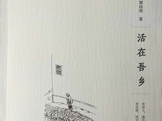 為卑微者留痕，順德城市網博主出書啦！