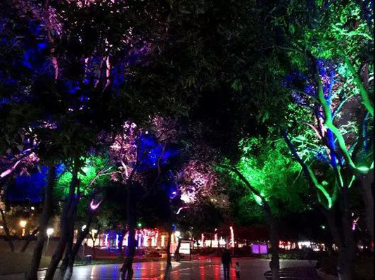 實力圈粉！換上新顏的文塔公園靚爆燈啦