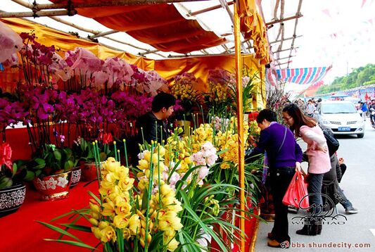 定了！大良花街開始招售，2月6日開市