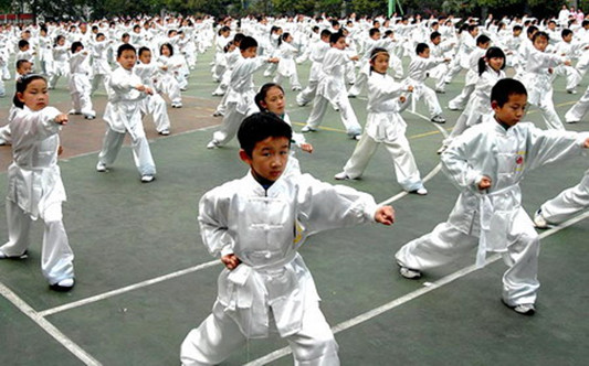 給力！順德新增4所市武術特色學校