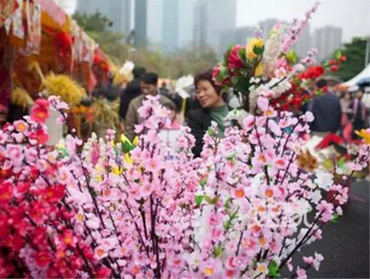 北滘迎春花市招租啦，將設三類攤位