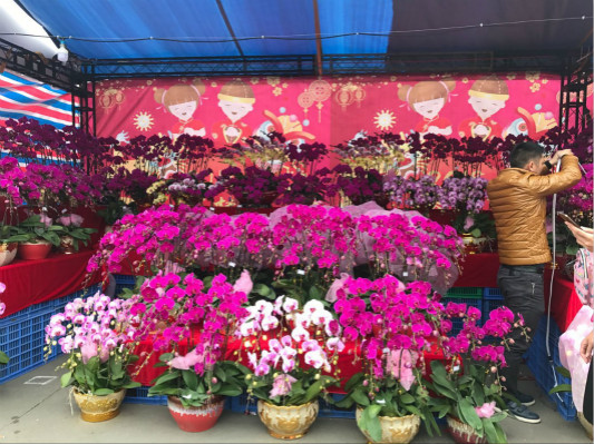容桂花市睇頭多多，將持續(xù)到15日