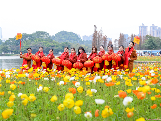 順德過大年：大良，吃喝玩樂統(tǒng)統(tǒng)滿足你