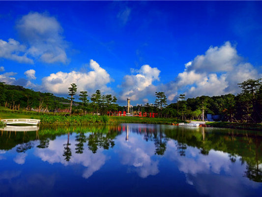 順德過(guò)大年：龍江滿(mǎn)足你的精彩生活！
