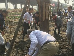大良：種樹500株！為高品質森林城市添綠