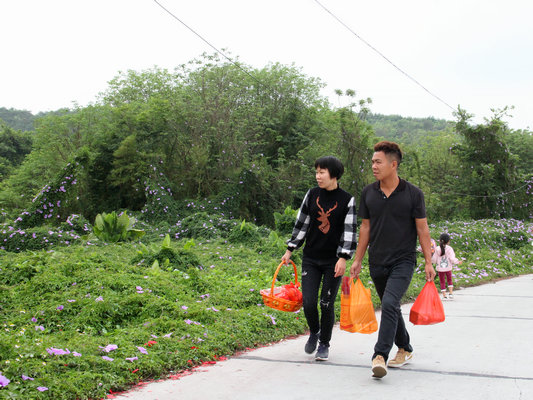 又是一年清明時，網友作詩念先人