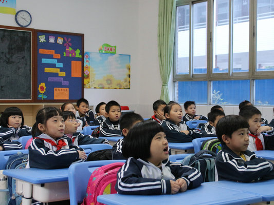 出爐！倫教公辦小學一年級招生2880人