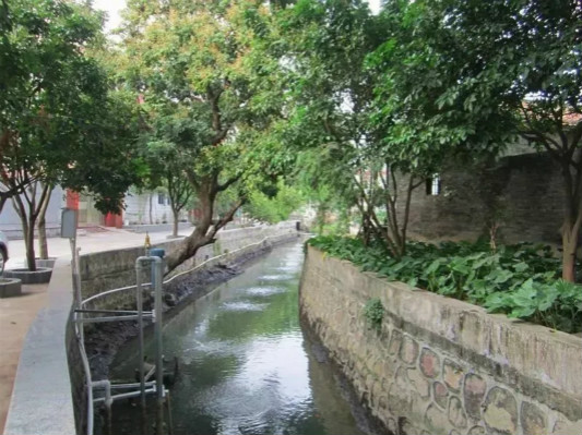 活化升級！順德800年“桃花源”更美了