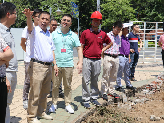 龍江：鎮巡察組督查，確保重點工作進度
