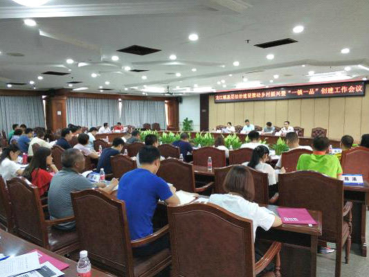 龍江：推動基層法治建設，護航鄉村振興