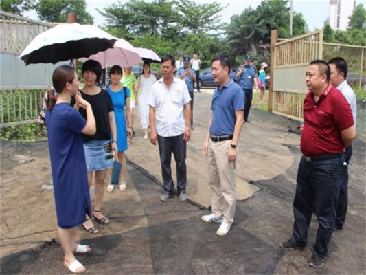 容桂：違法的砂石場已清理，市民送錦旗