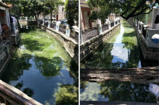 清淤注水！樹生橋周邊河涌水質變清啦