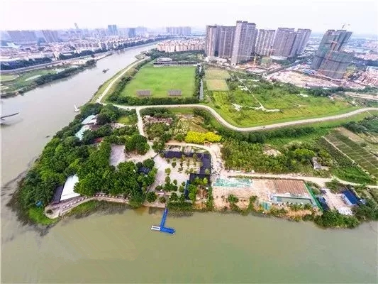 確保中心城區形態提升，順德這樣做…