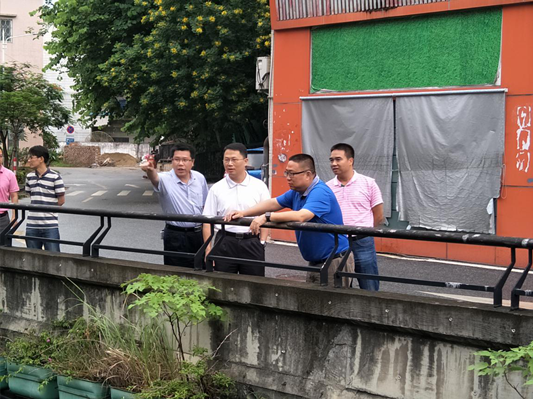 改善水環境質量，陳旋帶隊調研樂從河涌