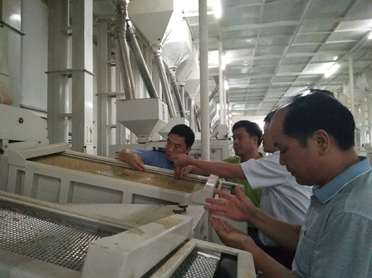 順德某公司生產的大米是塑料？假的！