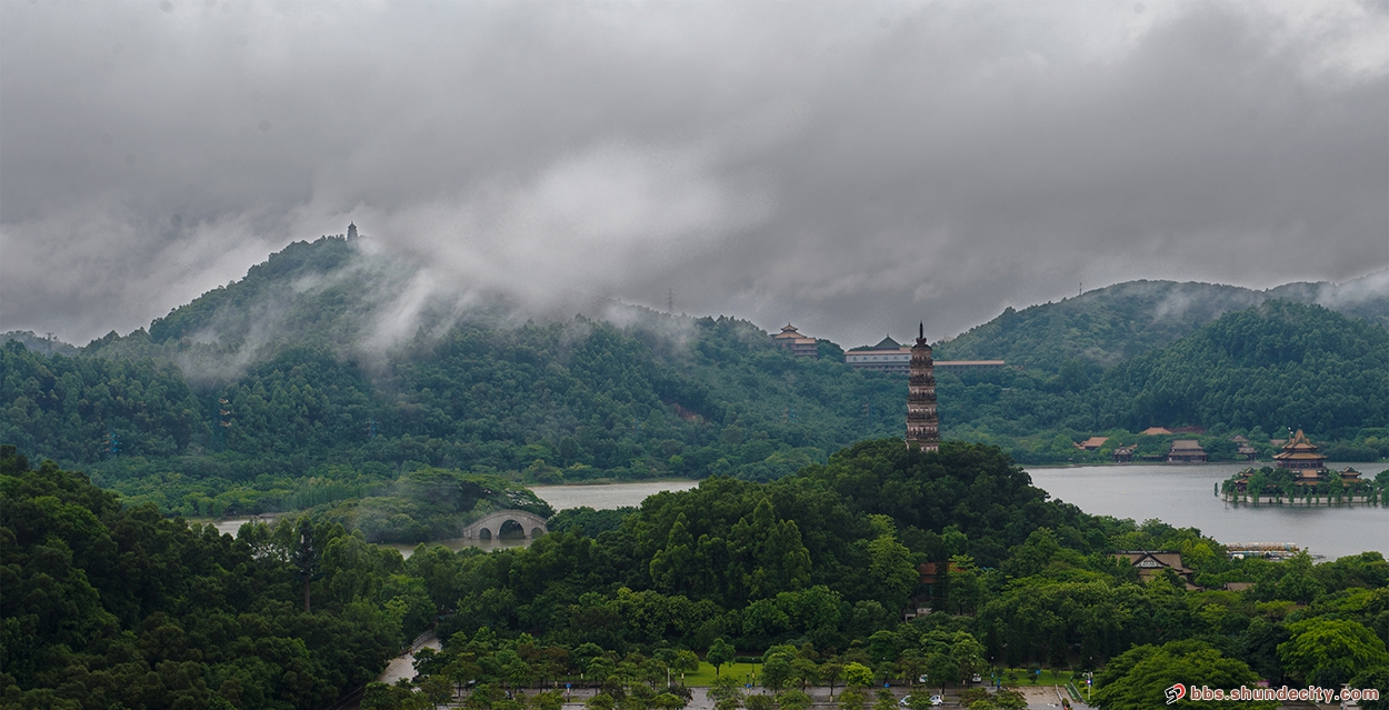 順峰山公園拾景