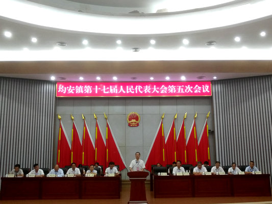 打出組合拳！均安這些工作“可圈可點”