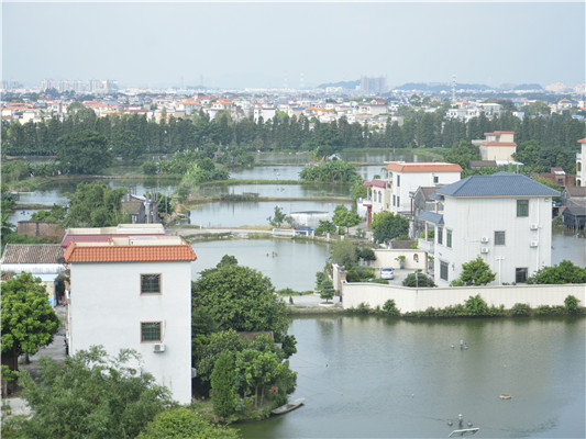 右眼：南沙，淹沒(méi)在山、水、綠中的家