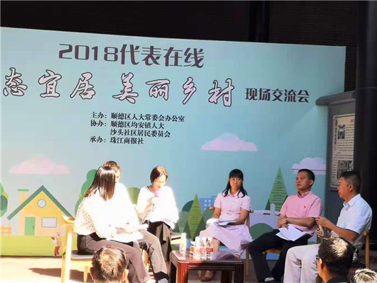 美麗鄉村如何建設，人大代表建言獻策！
