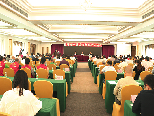 桂畔海水系綜合整治攻堅要拼質量保安全
