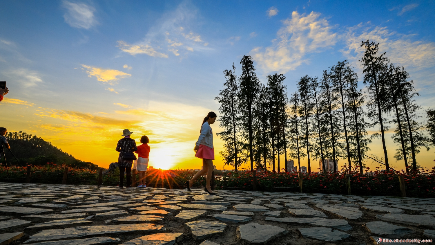 深秋季節里的順峰山公園晚霞