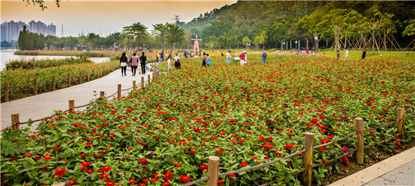 順峰山公園繁花似錦