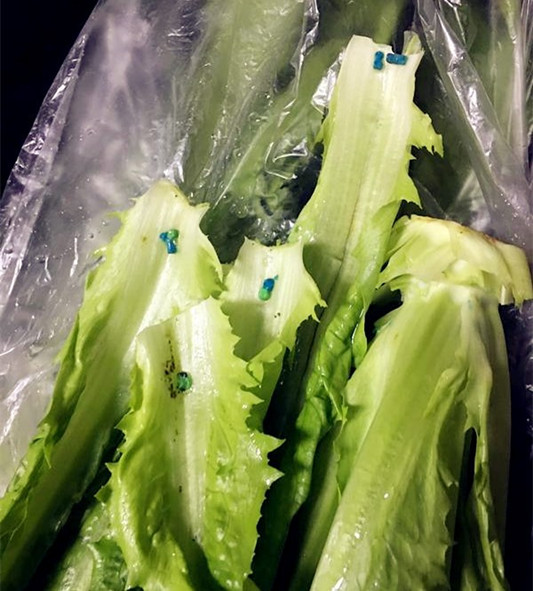 菜品出現不明藍色顆粒物，竟然是因為……