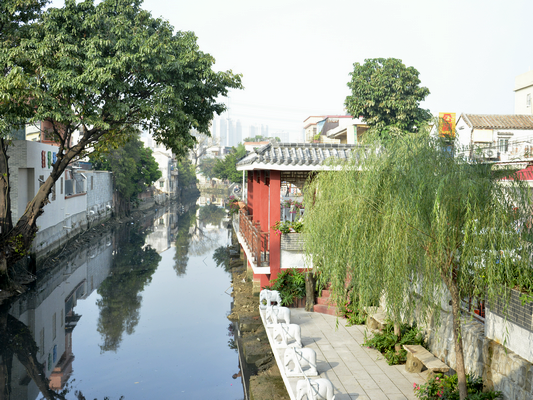 容桂：一涌兩岸綠化工程，亮化村民的心