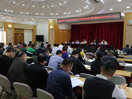 抓好黨建，助力勒流改革發展再出發！