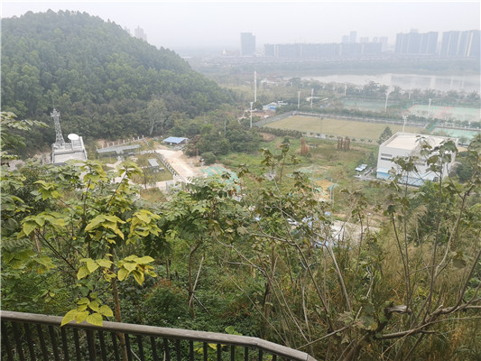 順峰山公園林分改造，市民盼見“香山”