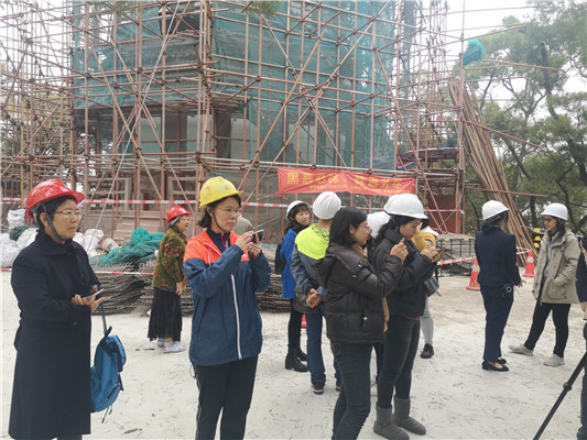廣泛征集聽取意見，推動雙塔修繕工作