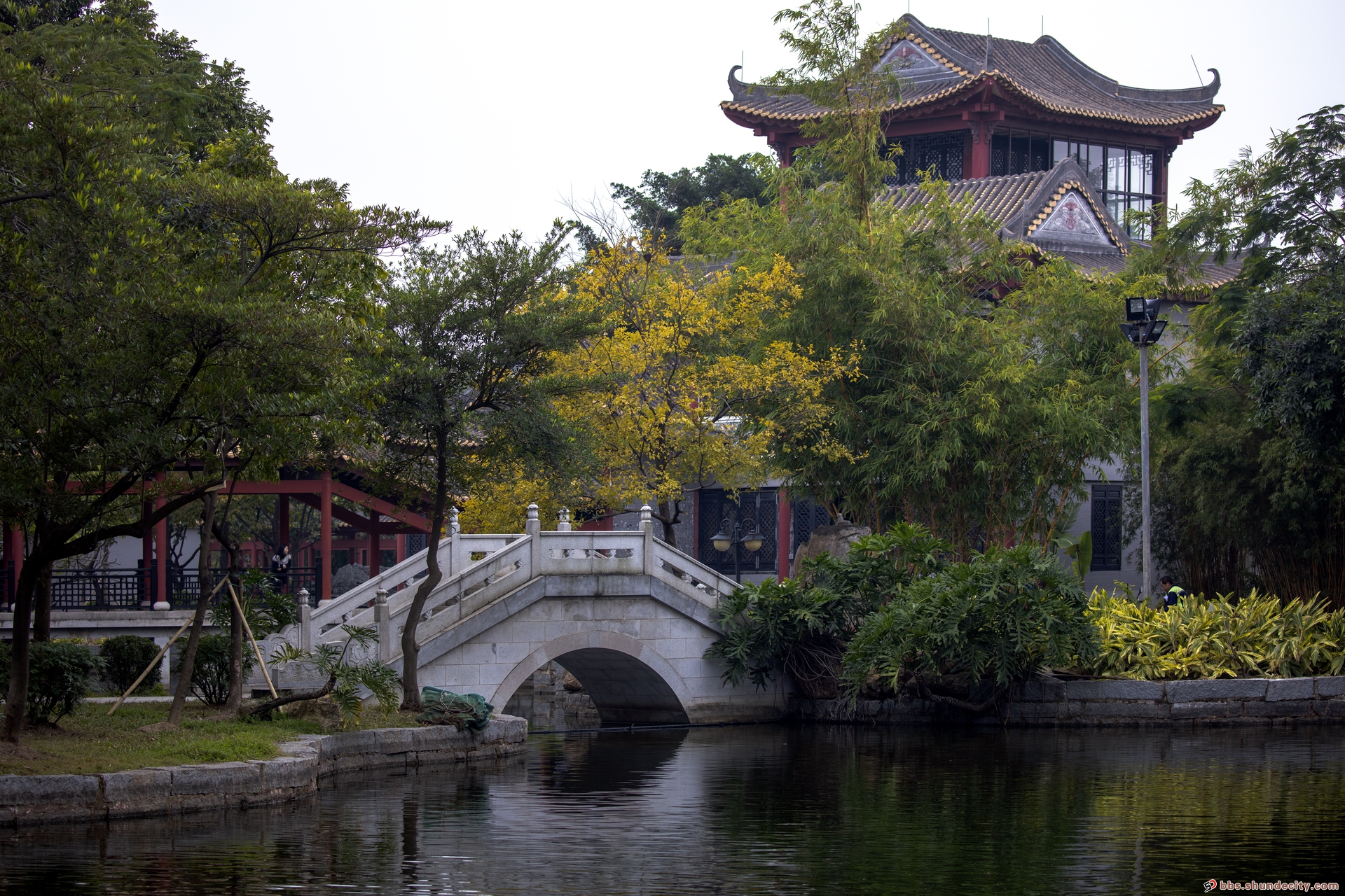 順峰山公園冬日景色